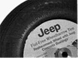 Tools & Hardware : Jeep Wheelbarrows FFT15R8 Flat-Free Wheelbarrow Tire