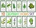 Culinary Herb Set - 12 Packets of High Quality Seeds - Rosemary, Culinary Sage, Oregano, Italian Parsley, Cilantro, Thyme, Dill Bouquet, Mustard, Chives, Marjoram, Summer Savory & Sweet Basil