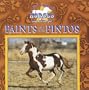 Paints and Pintos (Great American Horses)