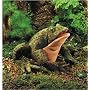 Folkmanis Toad Puppet