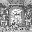 Black Medieval Art
