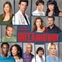 GREY'S ANATOMY 2008 WALL CALENDAR
