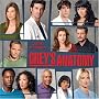 GREY'S ANATOMY 2008 WALL CALENDAR