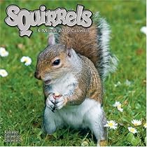 SQUIRRELS 2010 Wall Calendar #30148-10