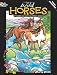 Wild Horses Stained Glass Coloring Book (Dover Nature Stained Glass Coloring Book) by Marty Noble, Coloring Books, Horses