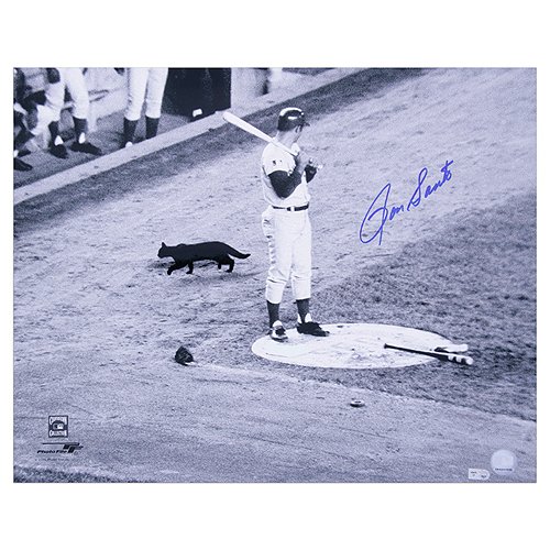 Mounted Memories Chicago Cubs Ron Santo Autographed 8X10 Photo