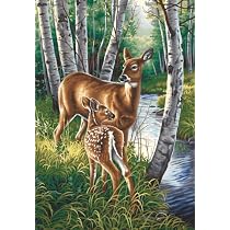 Paint by Number White Tailed Deer