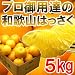 【送料無料１９８０円】プロ御用達☆訳あり和歌山八朔（はっさく）５kg