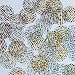 Round Flat Sequin 30mm Gold Tiger Stripe Transparent Hologram Glitter Sparkle. Couture Paillettes. Made in USA