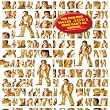 100 Million Bon Jovi Fans Can't Be Wrong [4CD + DVD]