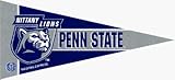 Penn State Nittany Lions Mini Pennant