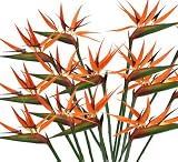 12 Pieces of 36" Bird of Paradise Artificial Bendable Flower Sprays