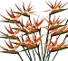 12 Pieces of 36" Bird of Paradise Artificial Bendable Flower Sprays