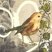 Bird Song I - (24 X 24")