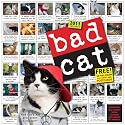 Bad Cat 2011 Calendar