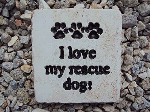 Stone Dog Rescue Wall Hanging, Inside, Outside, Ready To Hang and Ship