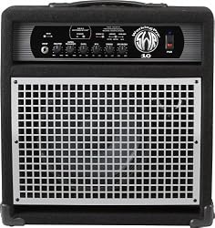 SWR WorkingPro 10 100 Watt 1x10 Bass Combo Amp
