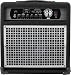 SWR WorkingPro 10 100 Watt 1x10 Bass Combo Amp