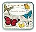 Cavallini Decorative Stickers Butterflies, Assorted