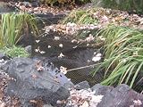 EasyPro NP2030 Premium Pond Cover Netting 3/4-Inch, 20-Foot x 30-Foot with 12 Stakes