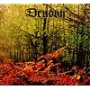 Autumn Aurora