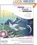 Foundation Flash Cartoon Animation