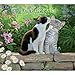 Lang January to December, 13.375 x 24 Inches, Perfect Timing Love of Cats 2015 Wall Calendar by Persis Clayton Weir (1001824)