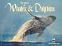 World of Whales & Dolphins
