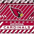 Arizona Cardinals NFL Book Cover