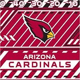 Arizona Cardinals NFL Book Cover