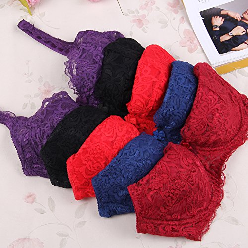 Daxin Women Sexy Underwire Bra Push Up Lace Sheer 32 34 36 38 40B
