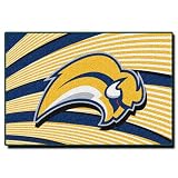 Buffalo Sabres NHL Tufted Rug (30x20")