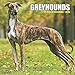 2016 Just Greyhounds Wall Calendar