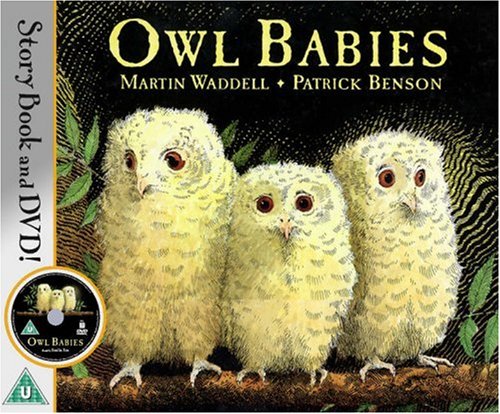 Childrens Toyshop  Children & Baby Books : Owl Babies (Book & DVD)