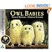 Owl Babies (Book & DVD)