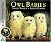 Owl Babies
