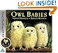 Owl Babies