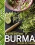 Burma: Rivers of Flavor