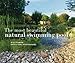 The Most Beautiful Natural Pools