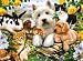 Ravensburger 13160 - Fröhliche Tierfreundschaft, 300 Teile Puzzle