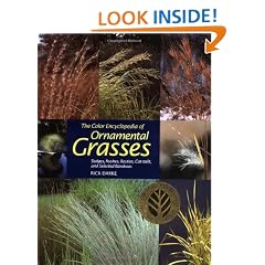 Color Encyclopedia Of Ornamental Grasses: Sedges, Rushes, Restios, Cat-Tails and Selected Bamboos