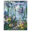 Paint By Number Kit 16