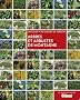 Arbres et arbustes de montagne : Un guide + un carnet de terrain
