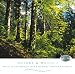 Produkt-Bild: Natur und Musik I (Nature & Music I) Entspannungsmusik mit Naturger&auml;uschen aus dem Wald.