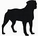 Rottweiler Dog Photo Wallet Key Chains