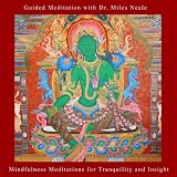 Mindfulness Meditations for Tranquility and Insight with Dr. Miles Neale