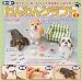 Origami Puppy Craft Kit #2