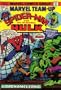 Essential Marvel Team-Up, Vol. 2 (Marvel Essentials)