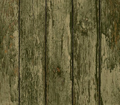 Faux Paneling Wallpaper (TC68043L)