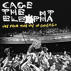 Live From The Vic In Chicago (Blu Ray) [Blu-ray]